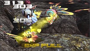 ���x�������Ɉ����������EXP FULL��