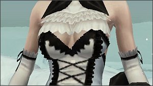 �~�X�e�B���v�J�̋�������