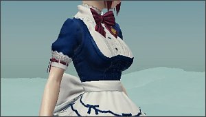 �s���A���C�h�h���X�̋���